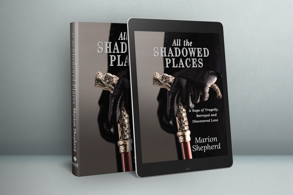 All the Shadowed Places